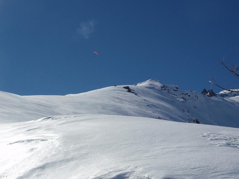 Pelvoux. (9).JPG - Sommet de la Blanche